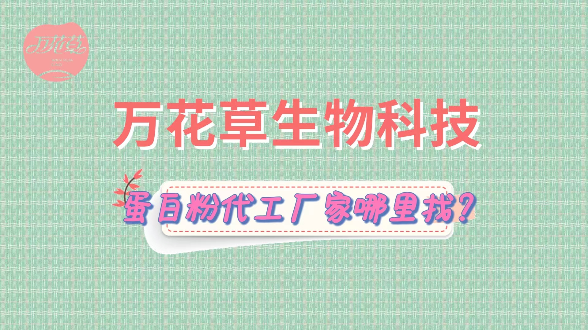 蛋白(bái)粉代加工(gōng)，怎麽找專業(yè)源頭廠(chǎng)家(jiā)？