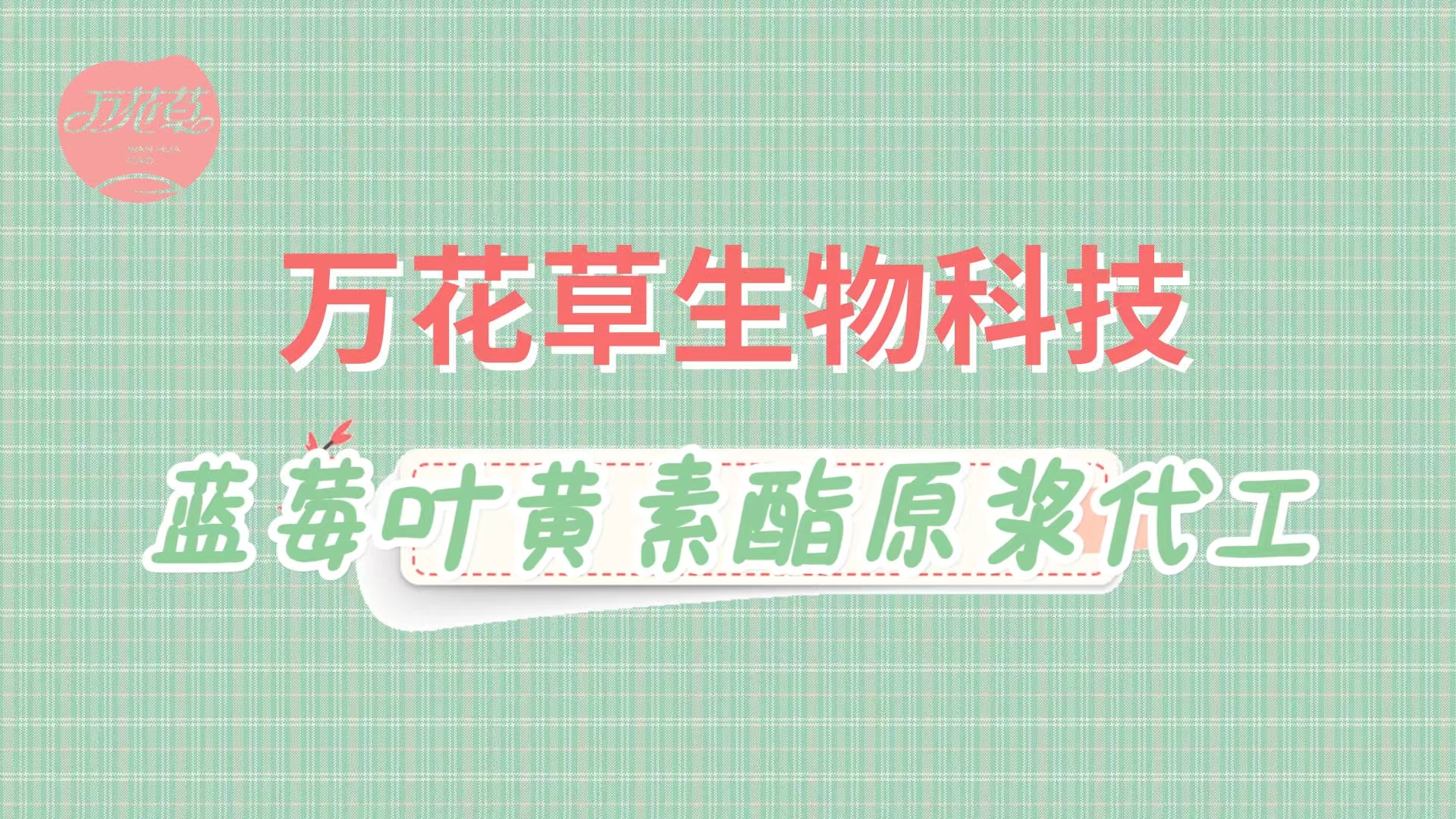 植物(wù)飲料代加工(gōng)就(jiù)找源頭大(dà)廠(chǎng)萬花(huā)草(cǎo)